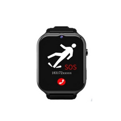 CareGuardian 4G Safety Watch