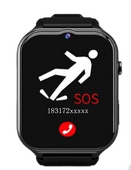 CareGuardian 4G Safety Watch