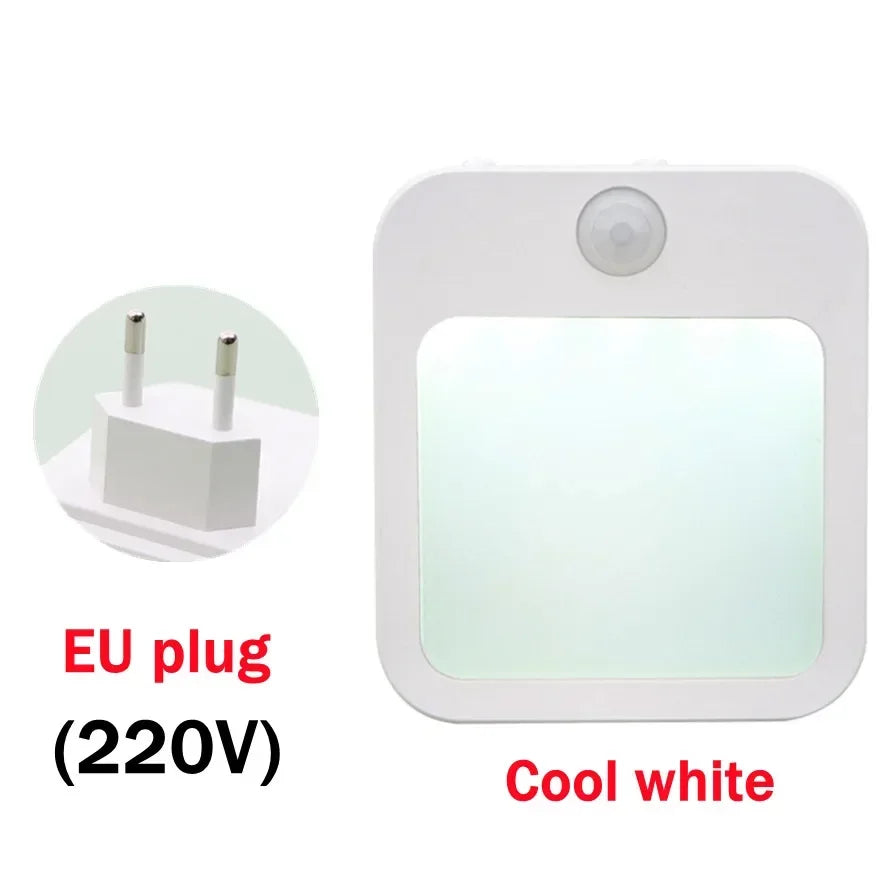 Auto-Dim Motion Night Light